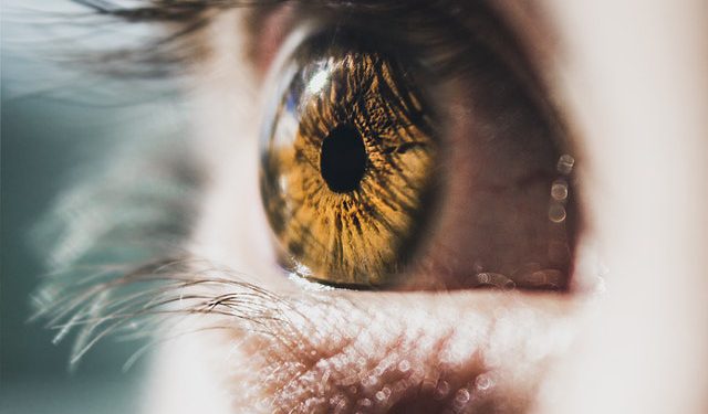 سلولهای بنیادی به کمک قرنیه آسیب دیده می آیند