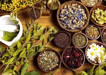 دستاورد جدید ایران در حوزه طب سنتی و تقویت اقتصاد سلامت