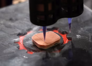 تولید گوشت پرینت شده، با ارزش تغذیه‌ای مشابه گوشت واقعی