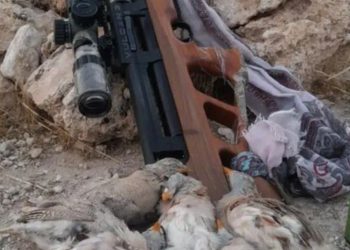 صدور حکم قضایی برای شکارچیان غیر مجاز در شهرستان صحنه+ تصویر