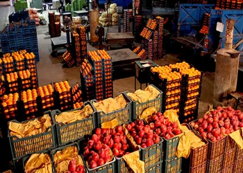 آغاز فروش میوه شب عید از ۲۵ اسفند ماه/ برخورد با هرگونه گران‌فروشی و هرنوع کم‌فروشی