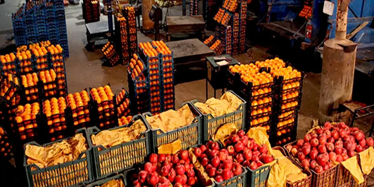 آغاز فروش میوه شب عید از ۲۵ اسفند ماه/ برخورد با هرگونه گرانفروشی و هرنوع کمفروشی