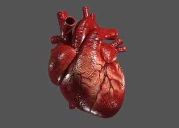 پیوند کوچکترین قلب مصنوعی جهان در بدن کودک ۷ ساله