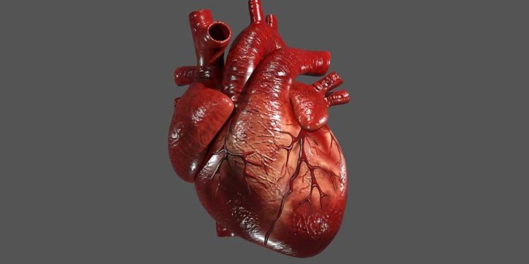 پیوند کوچکترین قلب مصنوعی جهان در بدن کودک ۷ ساله