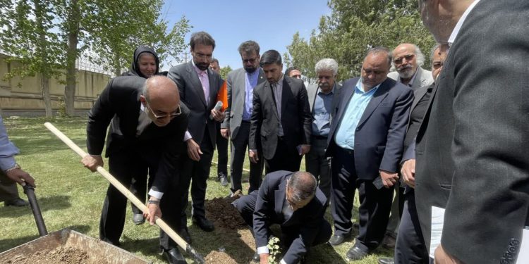 کاشت نمادین نهال بلوط توسط معاون رئیس جمهور و استاندار کرمانشاه