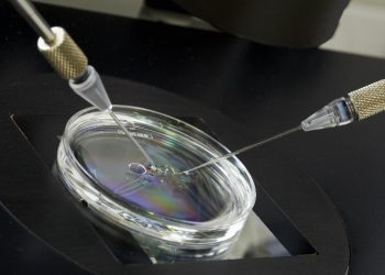 طبق یافته های جدید محققان، هورمون‌های زنانه مسکن طبیعی تولید می‌کنند