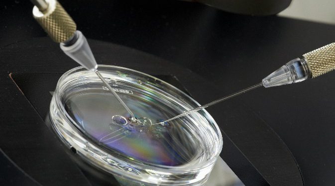 طبق یافته های جدید محققان، هورمونهای زنانه مسکن طبیعی تولید میکنند