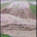 وقوع سیلاب در شهرستان هرسین به بخش کشاورزی چند روستا آسیب زد/ دستور استاندار کرمانشاه جهت کمک‌رسانی و ارزیابی خسارات