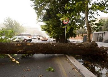 به کارگیری ۱۰۰ نفر نیروی خدمات شهری در پی بارش کم‌سابقه تگرگ در کرمانشاه/ آسیب به درختان و فضای شهری