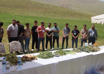 تور گردشگری خوراک برای دانشجویان خارجی دانشگاه‌های کرمانشاه برگزار شد