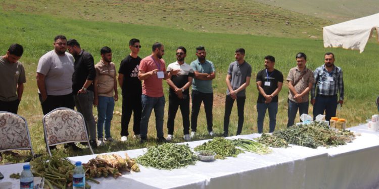 تور گردشگری خوراک برای دانشجویان خارجی دانشگاه‌های کرمانشاه برگزار شد