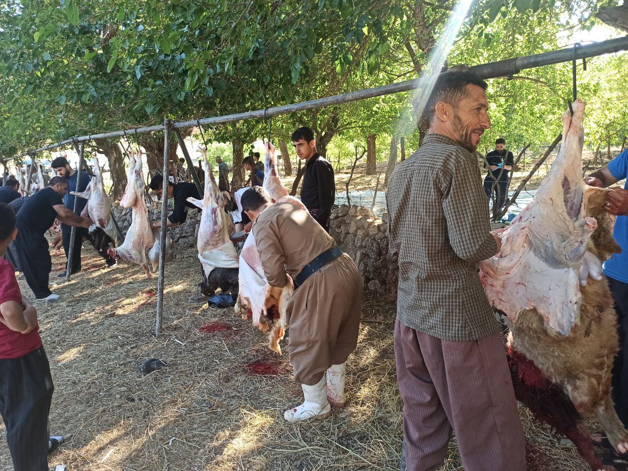 ۴۰۰ نفر در برگزاری آیین قربانی شهر بانه وره شرکت می‌کنند
