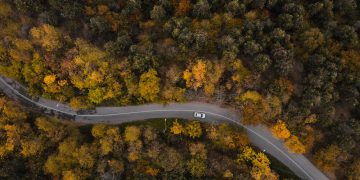 وەرزی پاییزی دارستانەکانی هیرکانی