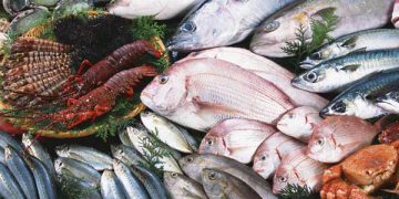 ١٠ هەزار تۆن ماسی لە کوردستان بەرهەم دێت