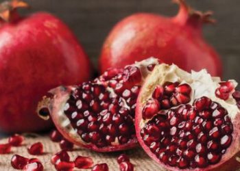 ئێران ڕێوڕەسمی شەوی چلە تۆماری جیهانی دەکات