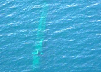 لە مانۆڕە سەربازییەکەی ئێران هۆشداری بە ژێردەریاییەکی بێگانە درا