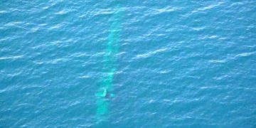 لە مانۆڕە سەربازییەکەی ئێران هۆشداری بە ژێردەریاییەکی بێگانە درا