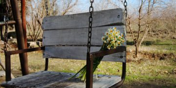 گەورەترین نێرگسە جاڕی ئێران