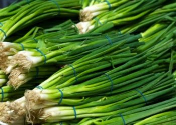 سوودەکانی خواردنی تەڕەپیاز بزانە