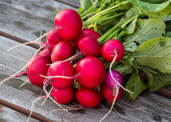 خواردنی تور لە وەرزی زستاندا بەسوودە