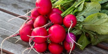 خواردنی تور لە وەرزی زستاندا بەسوودە