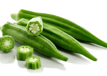 بامێ ڕێگر و چارەسەری چەند نەخۆشییەکە