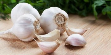 زۆر خواردنی سیر چەند کێشەیەکی تەندرووستیی لێدەکەوێتەوە