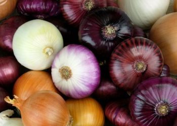 چەندین سوودی خواردنی پیاز بزانە