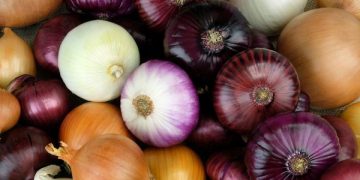 چەندین سوودی خواردنی پیاز بزانە