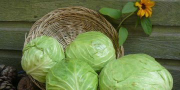 شەربەتی کەلەرم جەستە لە ژەهر پاک دەکاتەوە