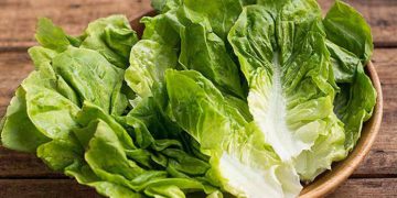 سوودەکانی کاهو بۆ پێست و جەستە بزانە