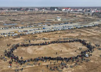 شەڕی خوێناوی سەگەکان لە پارێزگای مازندەران لە ئێران