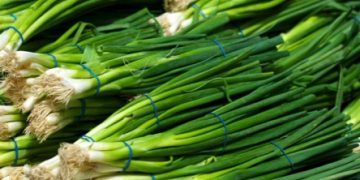 چەند سوودێکی خواردنی تەڕەپیاز بزانە