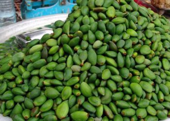 گرنگی بە خواردنی چوالە بدە