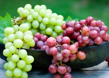 سوودە گرنگەکانی خواردنی ترێ