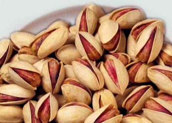 فستەقی زۆر نەخۆن!