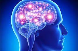 بەم خۆراکانە مێشکت بەهێز بکە