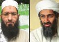 یاریدەدەری بن لادن: قاعیدە ڕۆژ لە دوای ڕۆژ لاوازتر دەبێت