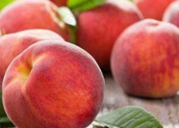 قۆخ چەند سوودێکی گرنگی بۆ تەندرووستی هەیە