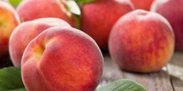 قۆخ چەند سوودێکی گرنگی بۆ تەندرووستی هەیە