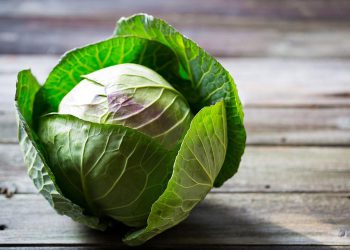 کەلەرم لە نەخۆشییە مەترسیدارەکان دەتپارێزێت