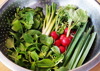 پێنج سوودی خواردنی سەوزە