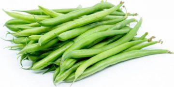 خواردنی لوبیا بۆ پاراستنی جەستە لەم نەخۆشییانە گرنگە