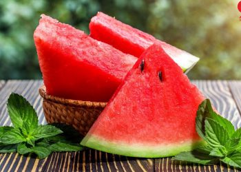 سوودە گرنگەکانی خواردنی شووتی