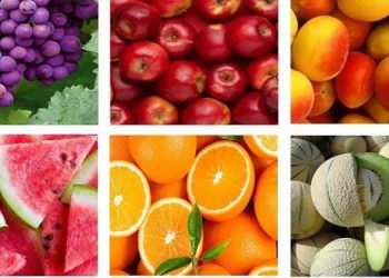 ڕووسیا ساڵانە دەیان ملیار دۆلار بەرهەمی کشتووکاڵی هەناردە دەکات