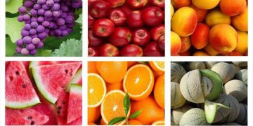 ڕووسیا ساڵانە دەیان ملیار دۆلار بەرهەمی کشتووکاڵی هەناردە دەکات