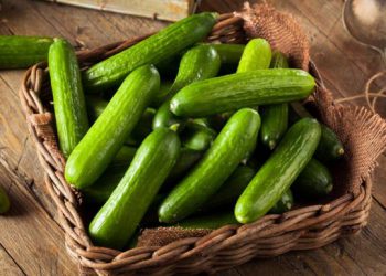 لە سەر خواردنی خەیار چەند زانیارییەک بزانە