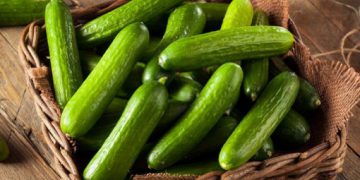 لە سەر خواردنی خەیار چەند زانیارییەک بزانە