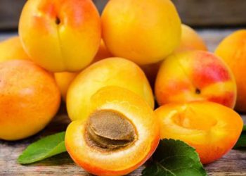 خواردنی قەیسی چ سوودێکی بۆ جەستە هەیە؟