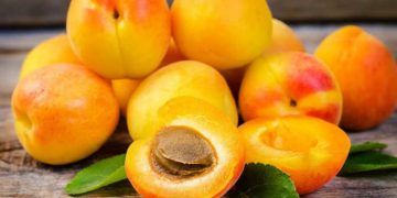 خواردنی قەیسی چ سوودێکی بۆ جەستە هەیە؟